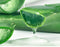 Aloe Gel Skin Care Moisturizing Face Cream